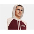 Sudadera Under Armour Wordmark Colorblock Hombre Red