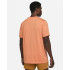 Camiseta Nike Dri-FIT Hombre Orange