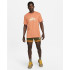 Camiseta Nike Dri-FIT Hombre Orange