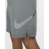 Pantalones Cortos Nike Dri-FIT Hombre Grey