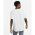 Camiseta Nike Dri-FIT Rise 365 Hombre Grey