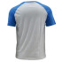 Camiseta Colour Block Raglan