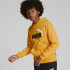 Sudadera con Capucha Puma Essentials+ Infantil
