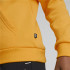 Sudadera con Capucha Puma Essentials+ Infantil