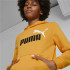 Sudadera con Capucha Puma Essentials+ Infantil