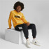 Sudadera con Capucha Puma Essentials+ Infantil