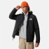 Chaqueta The North Face GOSEI Hombre Black