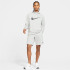 Pantalones cortos NIKE Dri-FIT Hombre Grey