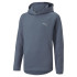 Sudadera Puma Evostripe Youth Hoodie Gris Infantil