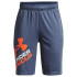 Pantalones cortos Under Armour Prototype 2.0 Logo Niño