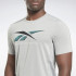 Camiseta de fitness Reebok Activchill Graphic Hombre Grey