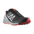 Zapatillas de trail Salomon Sense Ride 4 Negro Hombre