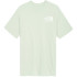 Camiseta de Montaña The North Face Coordinates Gris Hombre