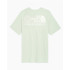 Camiseta de Montaña The North Face Coordinates Gris Hombre