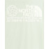 Camiseta de Montaña The North Face Coordinates Gris Hombre