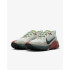 Zapatillas de trail Nike Wildhorse 7 blanco Hombre