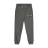 Pantalones Nike Jumpman Sustainable Gris Infantil