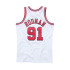 Camiseta de Baloncesto Mitchell & Ness Chicago Bull dennis Rodman Blanco Hombre