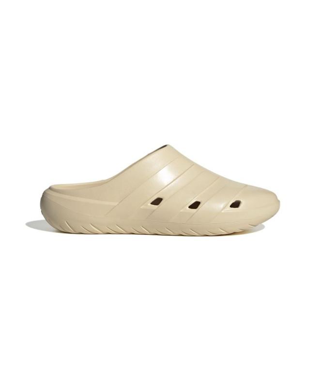Chanclas de Natación adidas Adicane Beige Hombre
