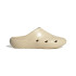 Chanclas de Natación adidas Adicane Beige Hombre