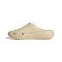 Chanclas de Natación adidas Adicane Beige Hombre