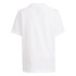 Conjunto adidas Trifolio Blanco Junior
