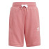 Conjunto adidas Trifolio Blanco Junior
