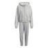 Chándal adidas Energize Gris Mujer