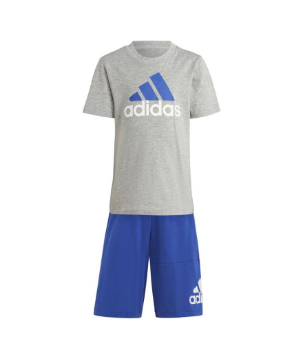 Conjunto adidas Essentials Logo Gris Infantil