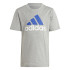 Conjunto adidas Essentials Logo Gris Infantil