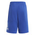 Conjunto adidas Essentials Logo Gris Infantil