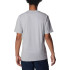 Camiseta Columbia CSC Basic Logo™ Gris Hombre