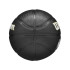 Pelota de Baloncesto Wilson NBA Team Tribute Mini GSW Negro