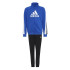 Chándal adidas Colorblock Big Badge of Sport Niño