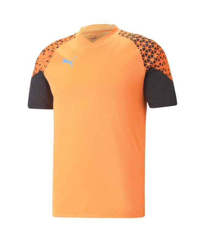 Camiseta de Fútbol Puma Individual Cup Training...
