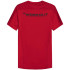 Camiseta de fitness 4F Quick-Drying Hombre RD