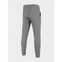 Pantalones de traning 4F Functional gris Hombre