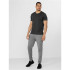 Pantalones de traning 4F Functional gris Hombre
