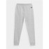 Pantalones de Fitness 4F Gris Niño