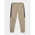 Pantalones 4F JSPMD002 Niño Marrón