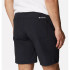 Pantalones de Senderismo Columbia Hike Hombre Negro