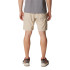 Pantalones de Senderismo Columbia Silver Ridge™ Utility Cargo Marrón Hombre