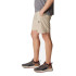 Pantalones de Senderismo Columbia Silver Ridge™ Utility Cargo Marrón Hombre