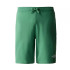Pantalones cortos The North Face Graphic Light Deep Grass Hombre