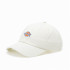 Gorra Dickies Hardwick Cloud Blanco