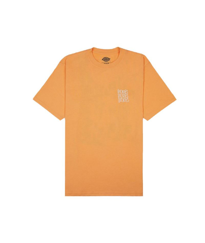 Camiseta Dickies Creswell Papaya Hombre