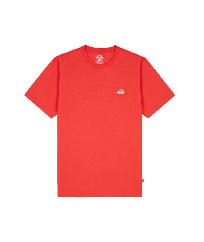 Camiseta Dickies Summerdale Coral Hombre