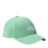 Gorra de Montaña The North Face Recycled 66 Classic Verde