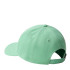 Gorra de Montaña The North Face Recycled 66 Classic Verde