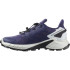 Zapatillas de Trail Salomon Supercross 4 Gore-Tex